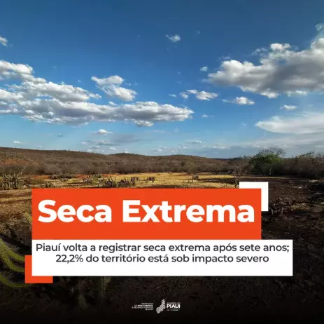 Piauí volta a registrar seca extrema após sete anos; 22,2% do território está sob impacto severo